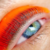 EYELASH LIFT SHIELDS - GLUE FREE (4 SIZES) - Masoumeh Brow Artistry