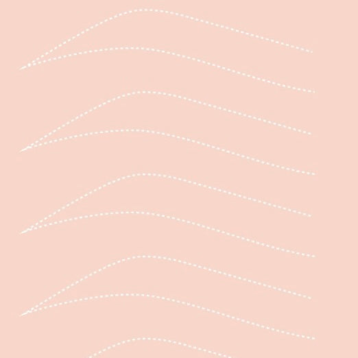 ADVANCED PRACTICE SKIN PAD - Masoumeh Brow Artistry