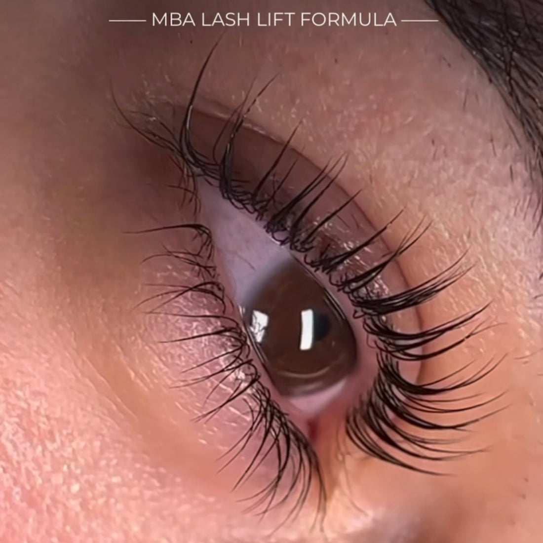 EYELASH LIFT - THE BEGINNER'S COURSE | PRE ORDER - Masoumeh Brow Artistry